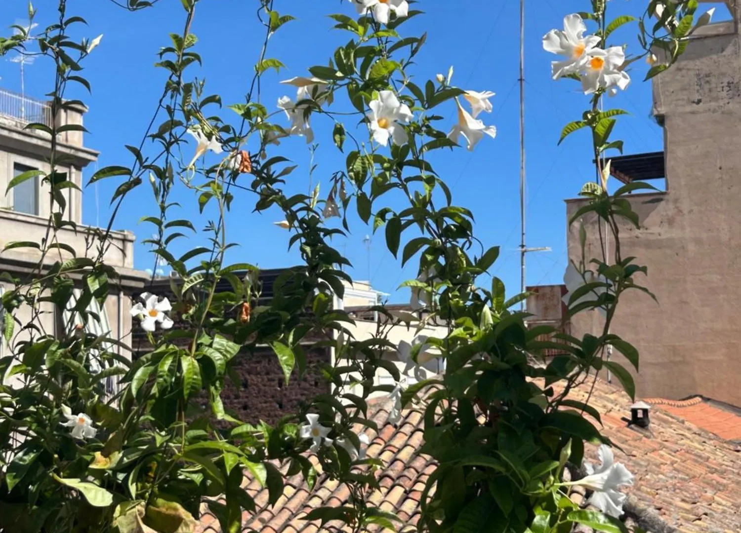 Fra Le Righe Bed & Breakfast Catania